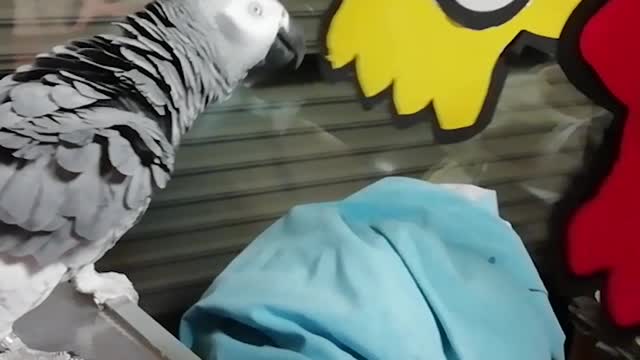 Parrot repels aliens with a beam!