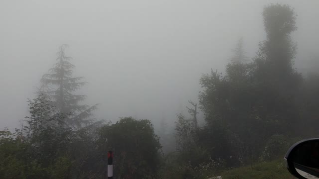 Driving through heavy fog on on risky hill station