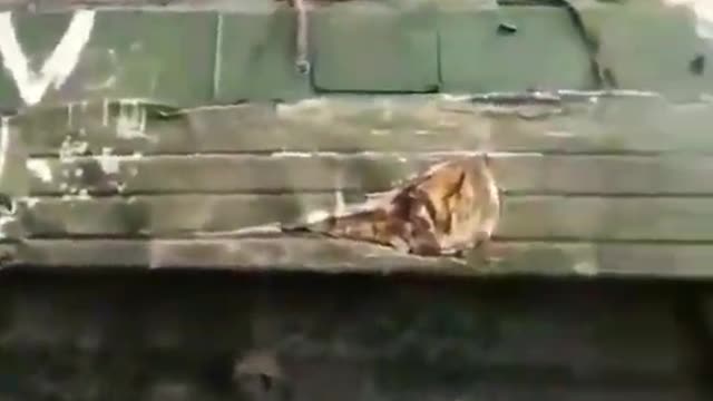 ⭕Ukraine War Ukrainian Soldiers climbed over Russian Tank #shorts #ukraine #russia #update