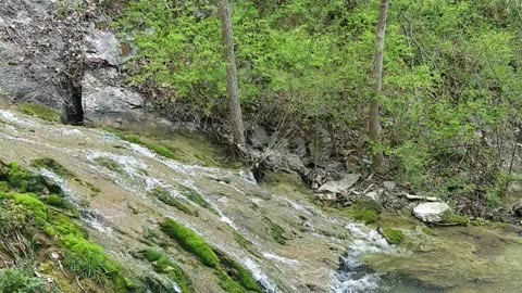 Natural Waterfall In The Woods Of VA