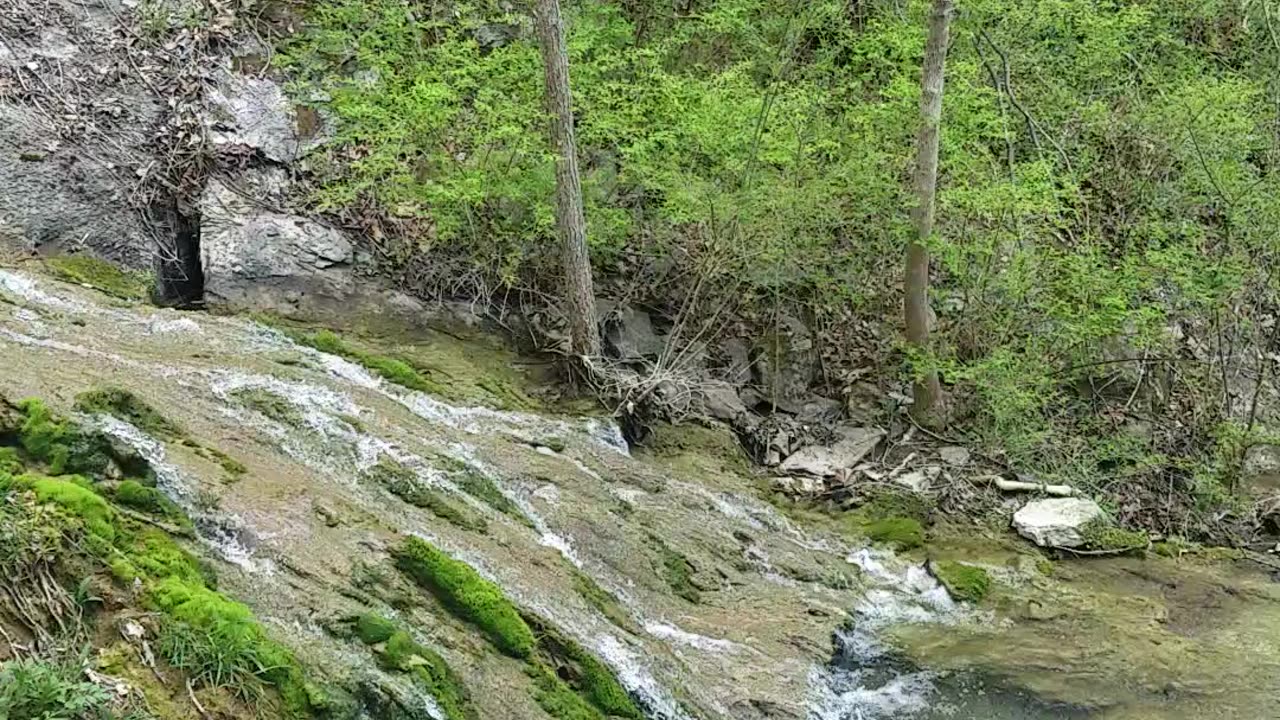 Natural Waterfall In The Woods Of VA