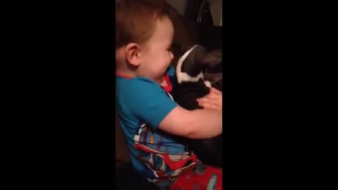 Toddler shows how much he loves his new puppy
