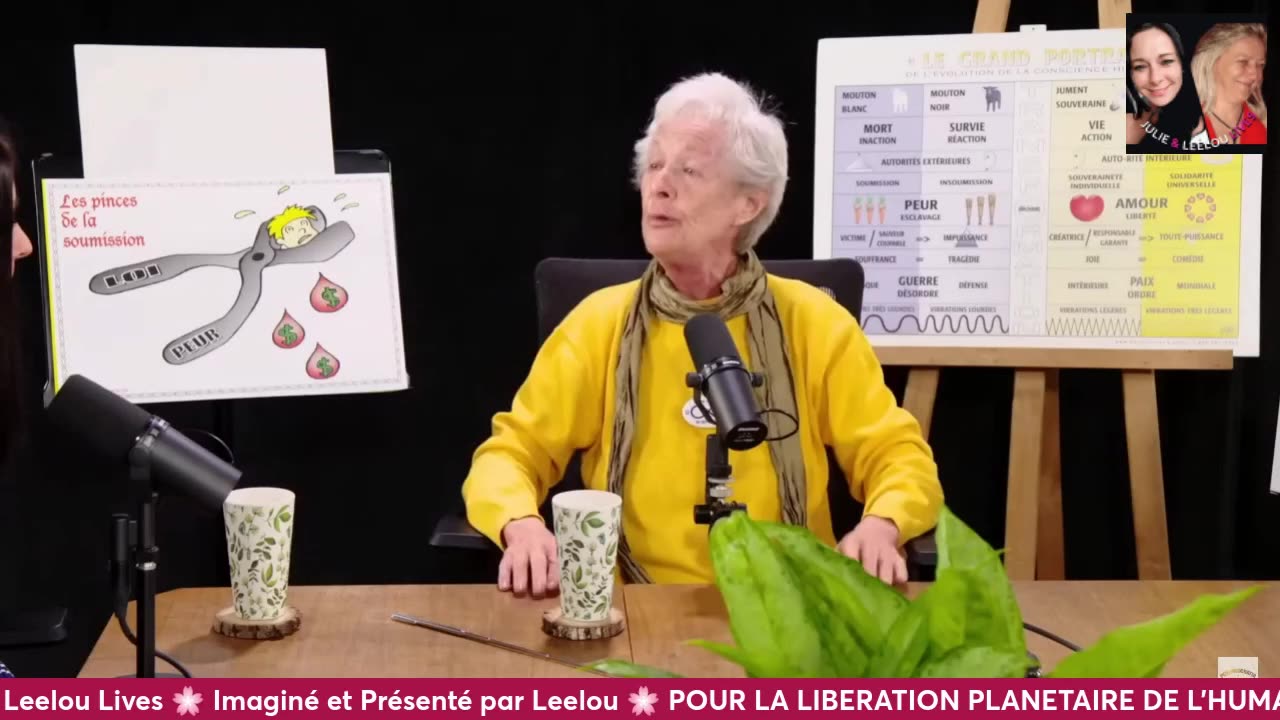 Leelou's VidéoApéroLove avec Vous les Zzz'Amis 07/11 De la Peur à l'Amour
