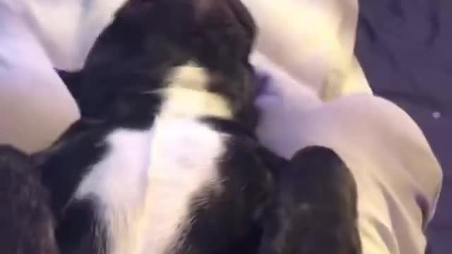 wiggle, wiggle