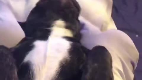 wiggle, wiggle