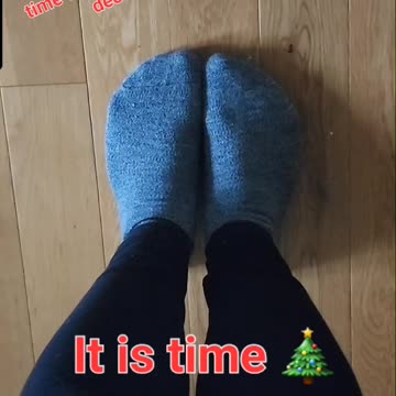 I Saw a Snowflake Today So It Is Time to Decorate