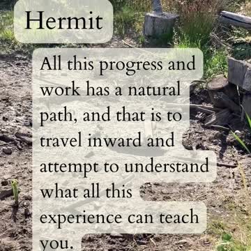 Tarot Readings From Nature. Fool's Summer.