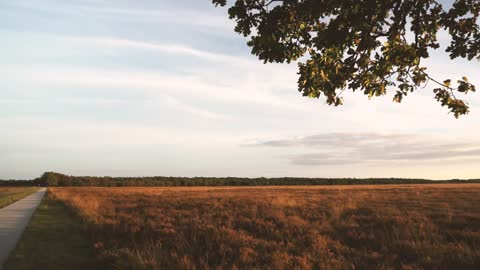 Sunset over a field