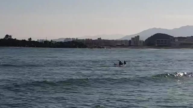 korea baekdo beach, sunshine,surfers