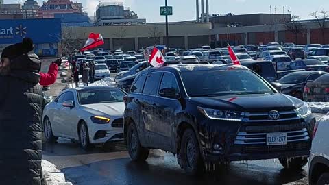 Patriot Canadians standing up for Freedom.🇨🇦❤