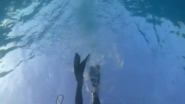 Solo freedive at Cooper's Island