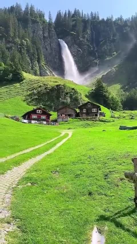 Vida saudável de verdade ! As galinhas, o sino da vaca, lembrei de Presidente Prudente-SP ! (2022,10,16)