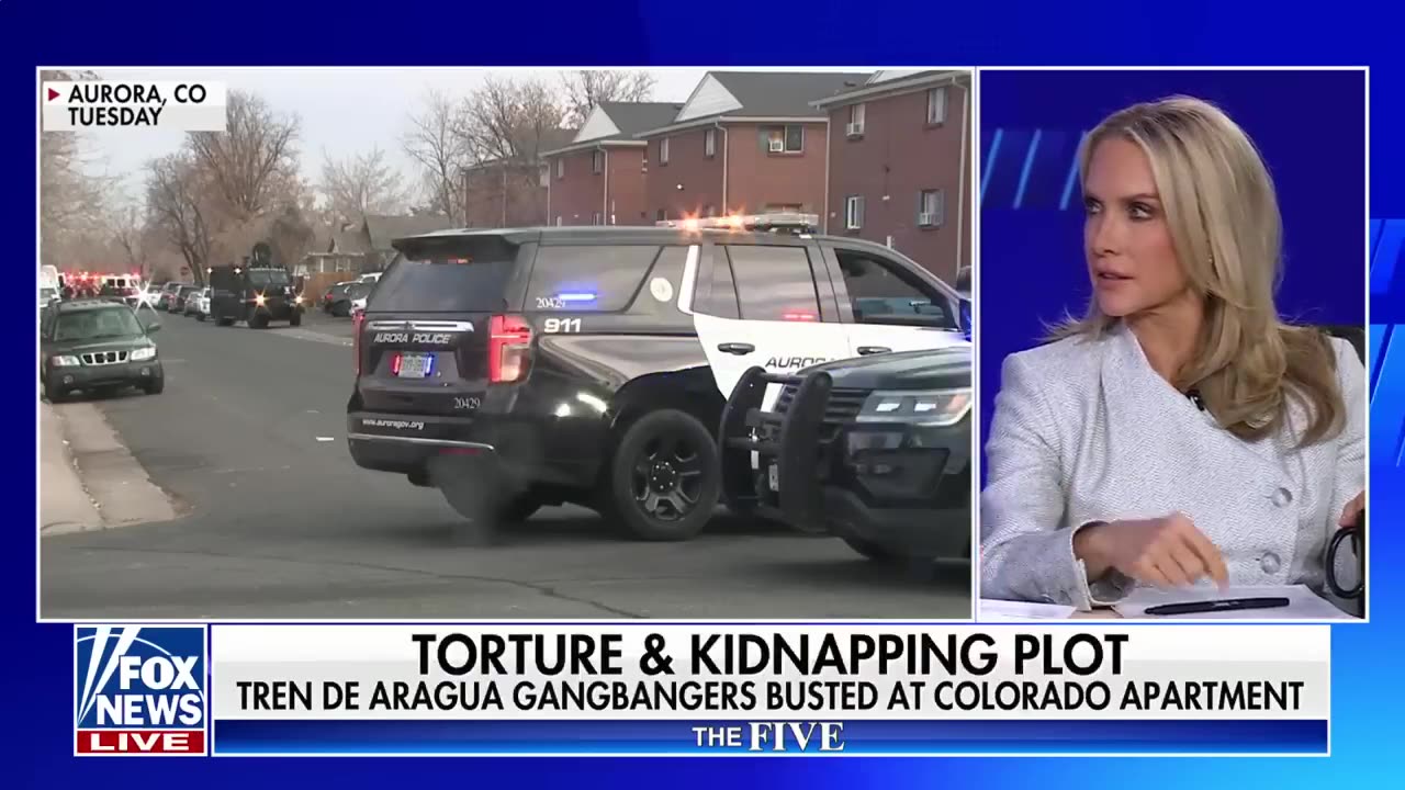 'The Five' Illegal migrant gangbangers busted in kidnapping, torture plot