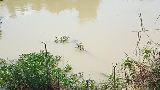 Di chơi một mình