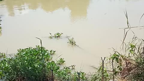 Di chơi một mình