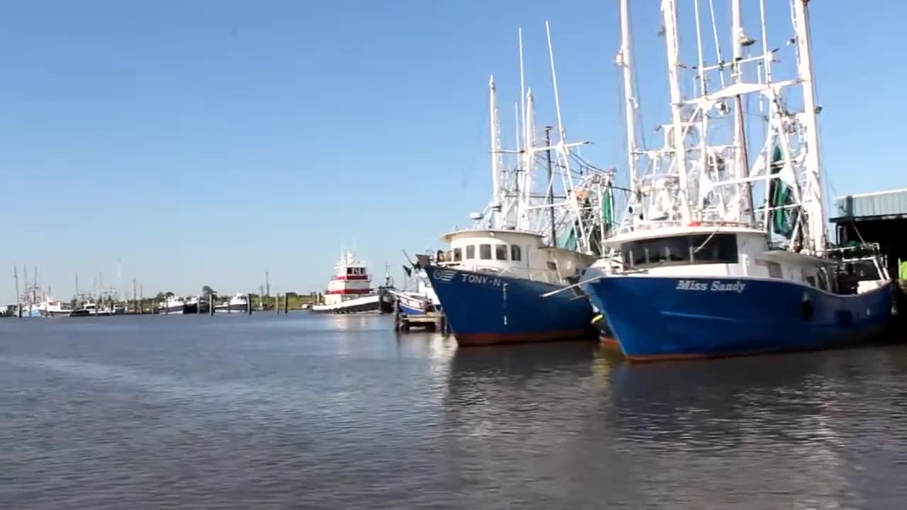 Louisiana Shrimp Boats