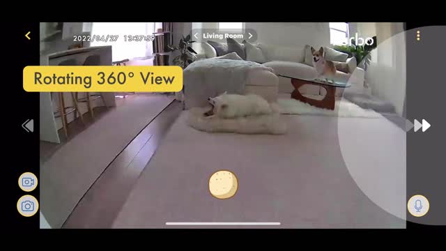 Furbo 360° Dog Camera: Best-in-class camera quality with