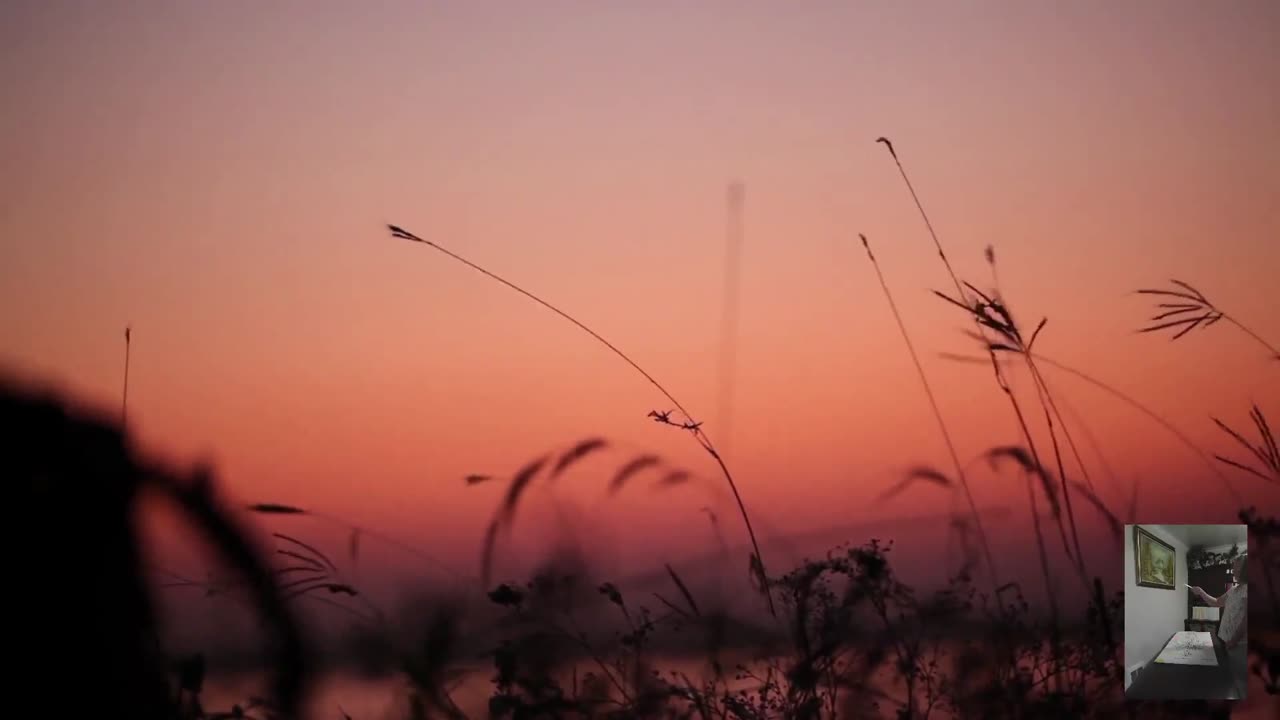 Session 5 Free Biofield Clearing sound healing session for Kidney & DNA Repair w/ Nature Backgrounds