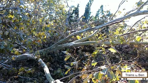 Helene Storm Damage at Our House