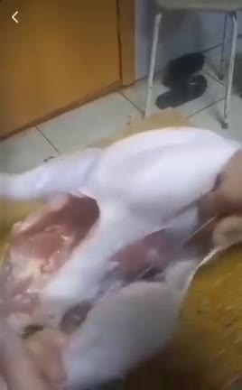 Video of a chicken injected w/ Covid Vaccine - Be Careful What You Eat