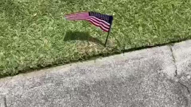 50 State Honors for the American Republic