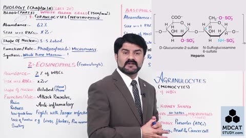 LEC#20 WHITE BLOOD CELLS