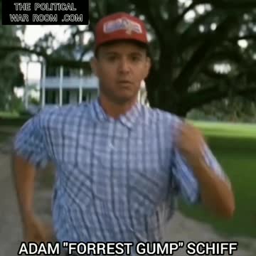 🔵 ADAM "FORREST GUMP" SCHIFF 🔵