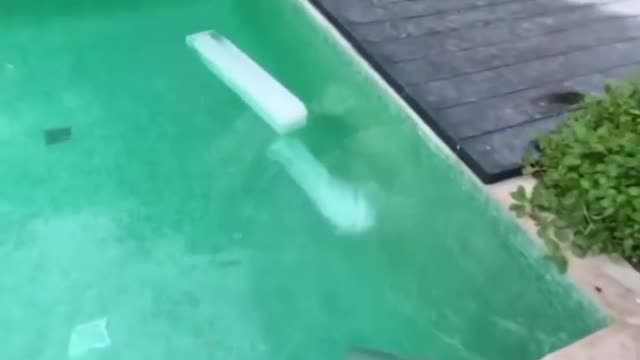 Em Dubai se joga gelo na piscina