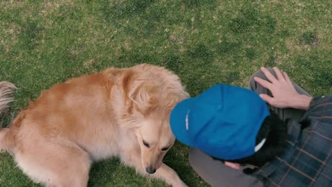 A man petting a dog in the grass