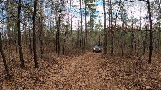 Walt's Wheeln' & Hikn' - Hog Mtn, Smith Tower & Barking Frog
