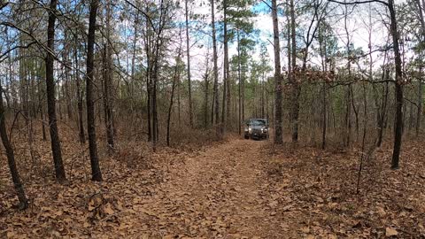 Walt's Wheeln' & Hikn' - Hog Mtn, Smith Tower & Barking Frog