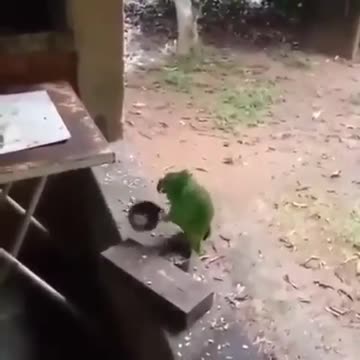 Where i see myself in 2 years