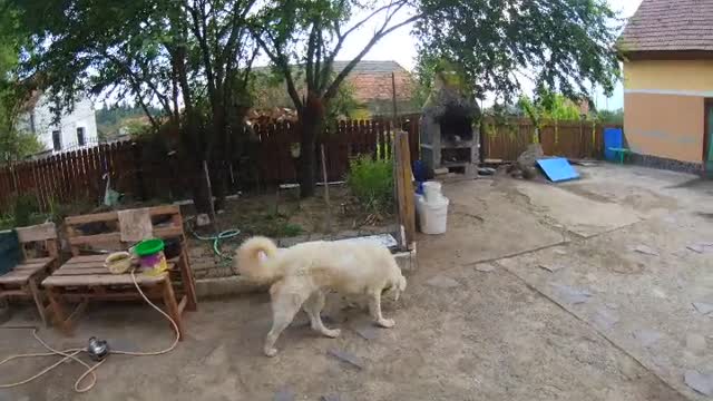 Homstead trial nr1