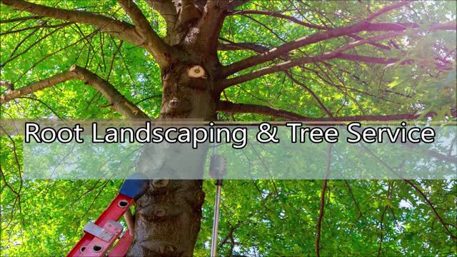 Root Landscaping & Tree Service - (408) 483-4720