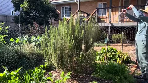 ***The Sacred Gift Of The Garden And The Wisdom Of Soap Making***