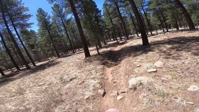 2022 TRS Ft Valley Trails: Pipeline Fire