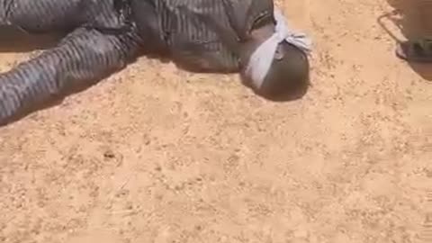 Mali: Jihadists of Jamaat Nasr al-Islam wal-Muslimin carried out an operation