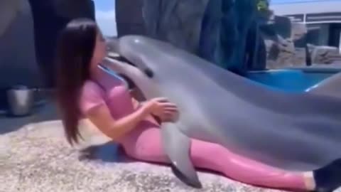 Dolphen show