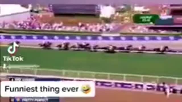 Covid - Race