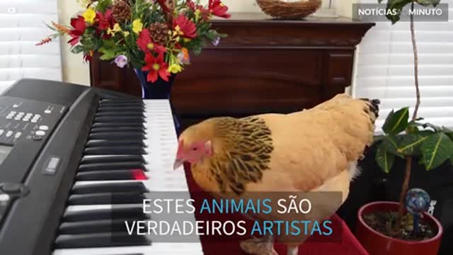 Conheça os animais que tem alma de artista