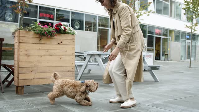 Dog And Human Best Friends Is The Best Thing You'll See All Day