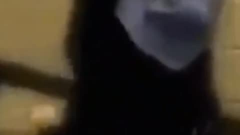 Lol