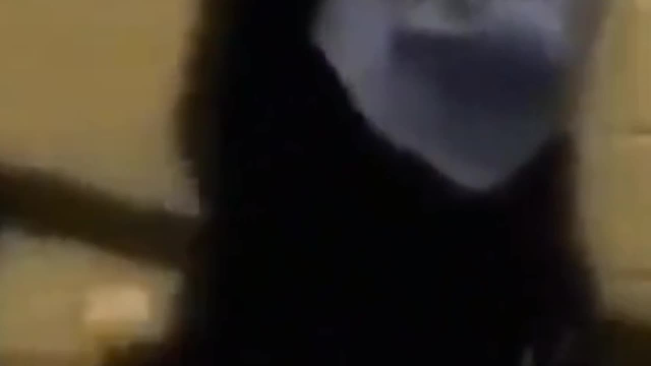 Lol