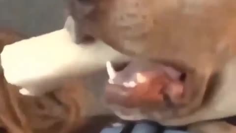To be shocked