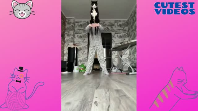 Cat jumping in style