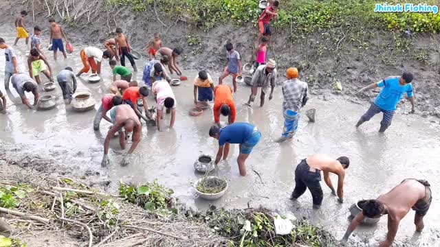 Cast Net Fishing, Amazing Net Catch Fishing Skill, Catching Fish Big on The Village Ponds,