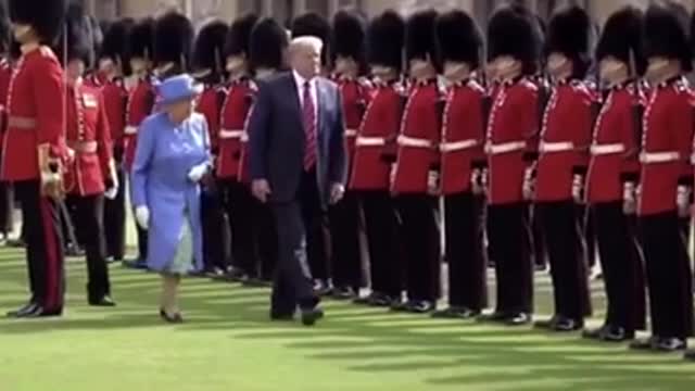 PRESIDENT TRUMP - “IF”