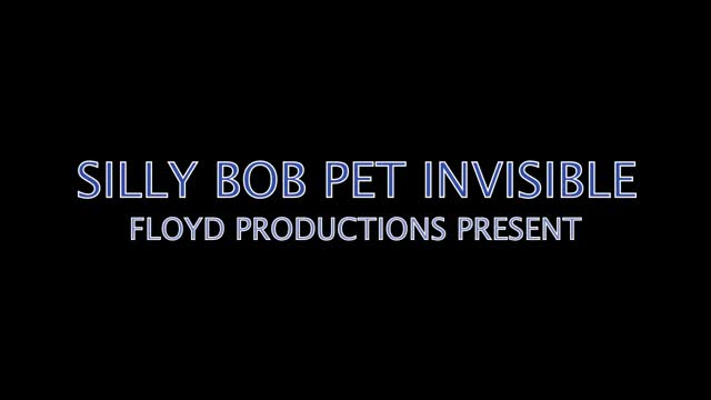SILLY BOB PET INVISIBLE