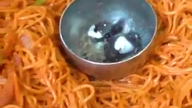 Megi best megi in India cooking ka sabse acha trika