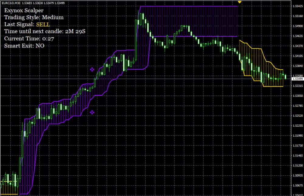 NON-STOP WINS: +812 Pips Total Profit! Link in description 🤑🤑🤑